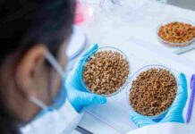 Testeur de nourriture pour animaux : métier, salaire et missions clés ? testeur de nourriture pour animaux