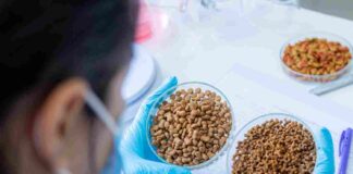 Testeur de nourriture pour animaux : métier, salaire et missions clés ? testeur de nourriture pour animaux