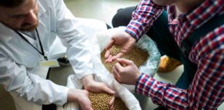 Testeur de nourriture pour animaux : quelles compétences sont requises ? testeur de nourriture pour animaux