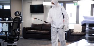 Hygiène en entreprise : pourquoi l’extermination des cafards doit être une priorité ? Hygiène en entreprise : pourquoi l’extermination des cafards doit être une priorité ?