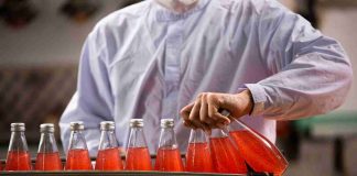 Business modèle Tchanami : une alternative aux sodas industriels ? Tchanami