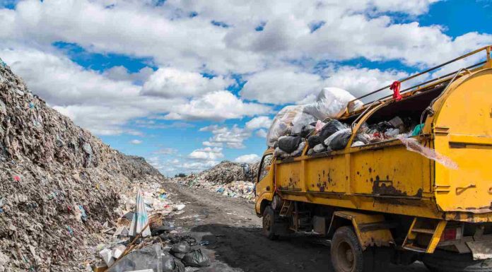 Trackdechet : obligations légales et démarches pour les professionnels Trackdechet